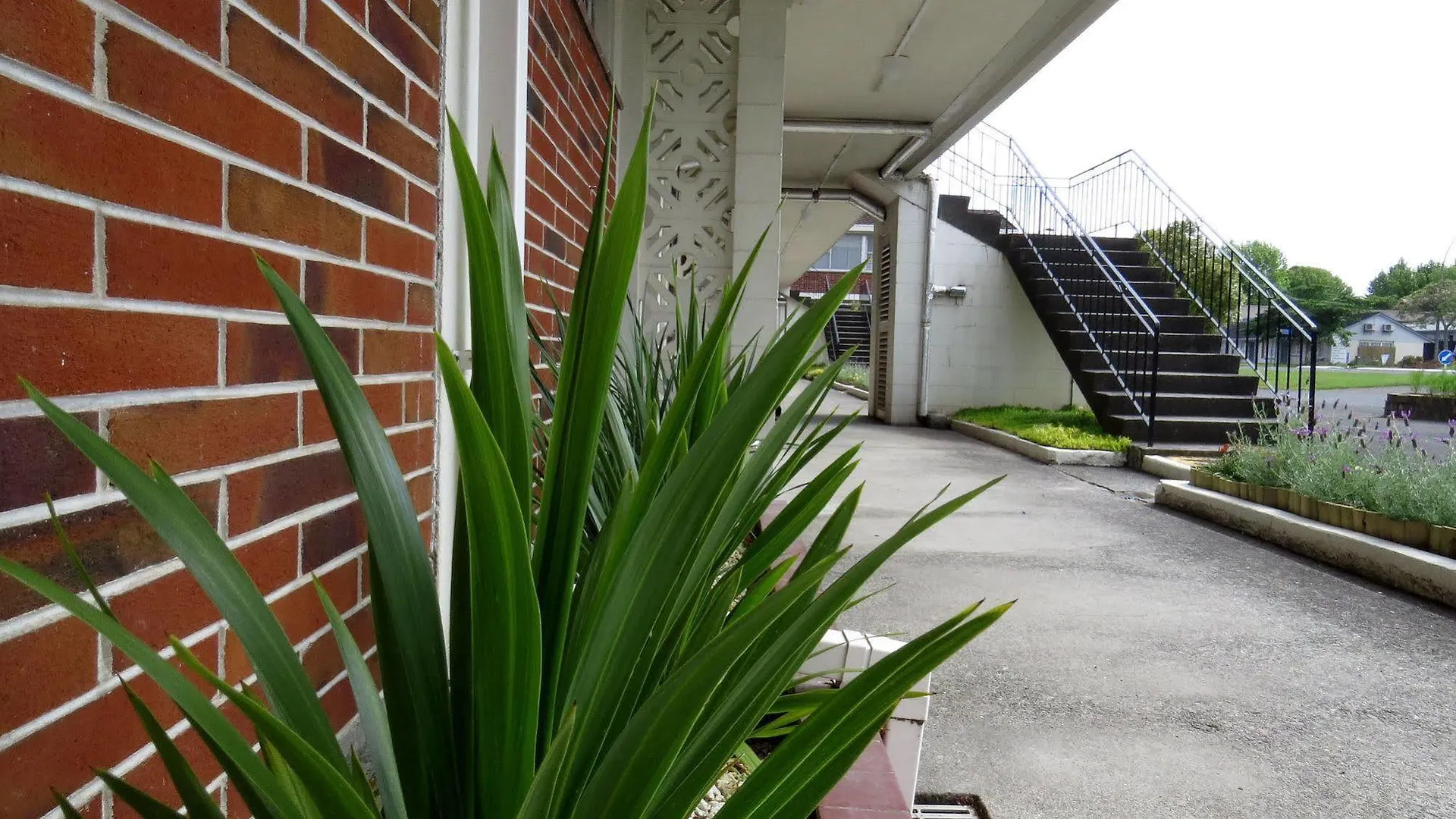 Motel Kuirau Park Motor Lodge Rotorua